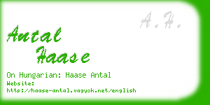 antal haase business card